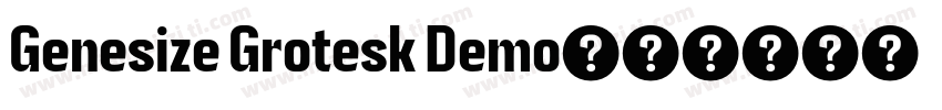 Genesize Grotesk Demo字体转换